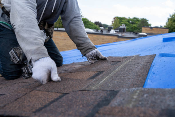Best Roof Gutter Cleaning  in Galesburg, MI